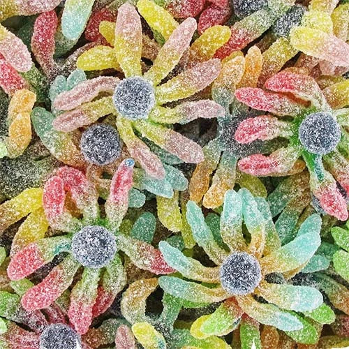 Octopus Acidulés - 100g